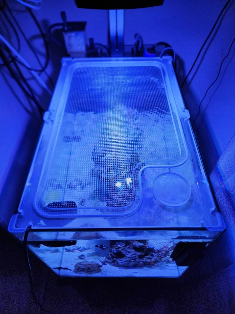 Fluval Evo 13.5 Acrylic Screen Cover - AquaLifeStudio