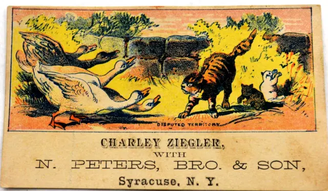 Charley Ziegler with N. Peters, Bro & Son Syracuse, N.Y. Victorian Trade Card