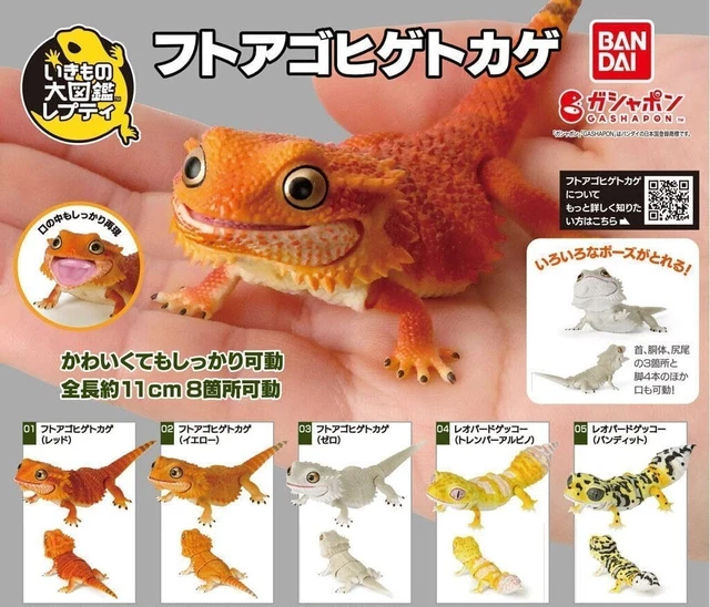 Repti Bearded Lizard Figure Ikimono Encyclopedia full set 5 types Capsule toy JP