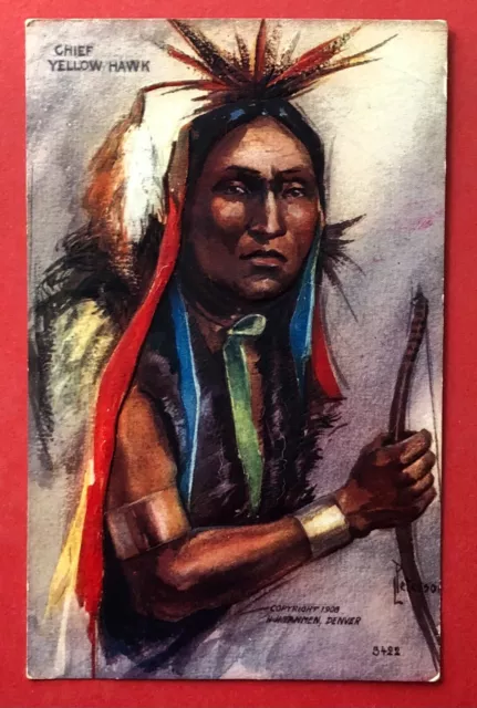 Prägedruck Künstler AK um 1910 Chef Yellow Hawk Indianer Typen  ( 96212