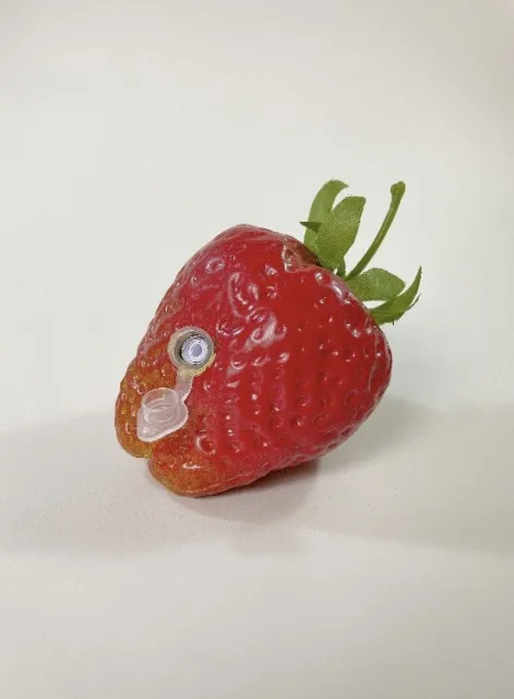 Disguised Strawberry Geocache Geocaching