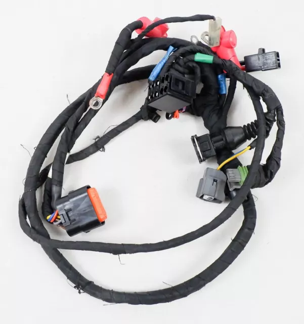 Rotax Max EVO Kart Wiring Loom / Harness