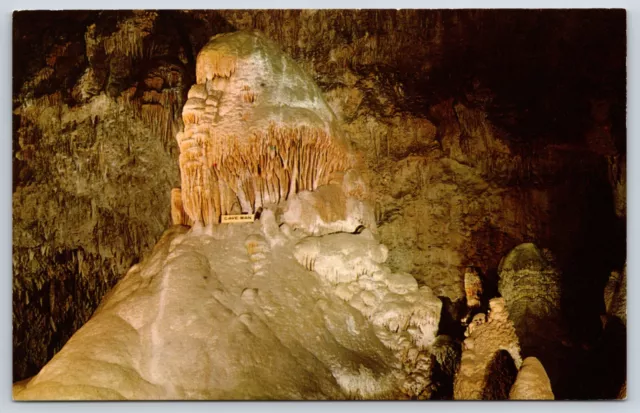 Postcard Caveman, Carlsbad Caverns National Park, New Mexico Unposted