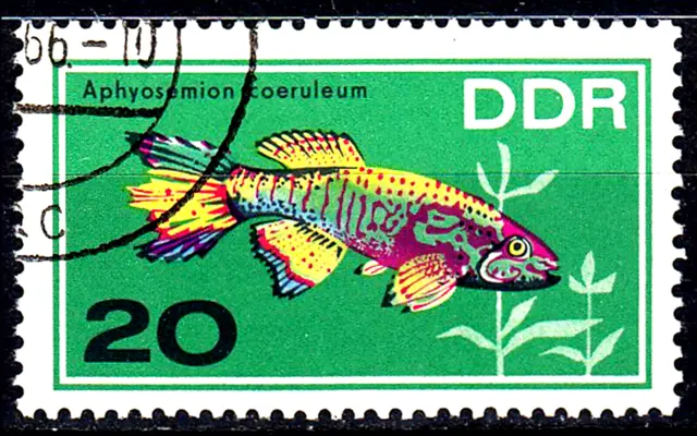 Deutschland DDR gestempelt Fische Tiere Gebänderter Prachtkärpfling Afrika /5347