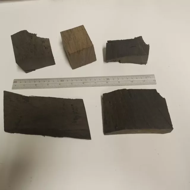 2 pounds of Irish Bog Oak Wood Pieces ( Morta) (1kg) approx