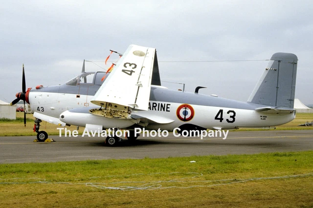 French Navy 4F Breguet Alize 43 (1986) Photograph