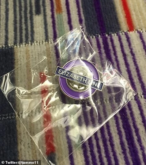 ELIZABETH LINE PIN Badge - Official TFL - New & Sealed £4.00 - PicClick UK