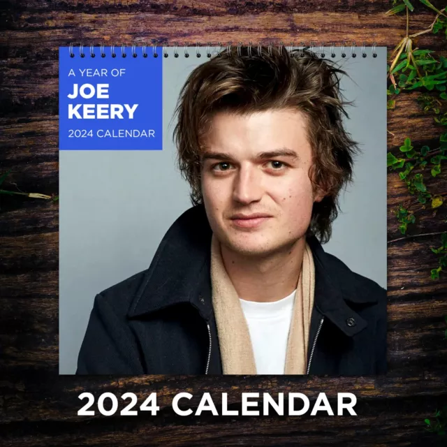 JOE KEERY CALENDAR 2024 Joe Keery 2024 Celebrity Wall Calendar 24.99