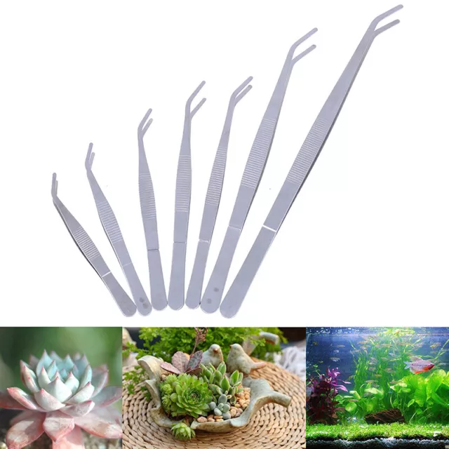 Stainless steel elbow tweezers aquarium clear clip tool medical repair too  YIUK