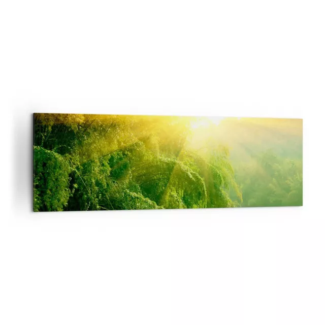 Canvas Print 160x50cm Wall Art Picture Tropics Trees River Large Framed Artwork