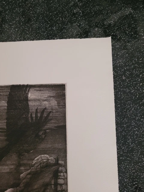 Lithographie signée et numérotée décor d'oiseau et de chat signature à identifie 8