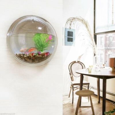 Acrylic Mini Aquarium Fish Tank Wall Hanging Hydroponic Plant Bowl Decor 10*10cm