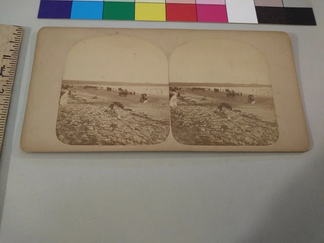 Beach J.A. Williams Rhode Island Stereoview Photo