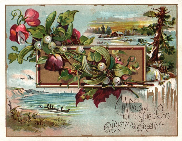 1800’s  VICTORIAN TRADE CARD WOOLSON SPICE LION COFFEE Christmas Greetings