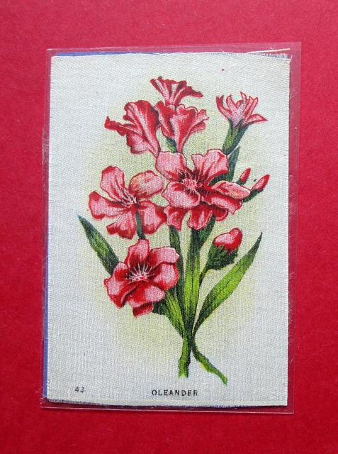 IMPERIAL TOBACCO CANADA  ANTIQUE 1913  GARDEN FLOWERS SILK  No 43  OLEANDER