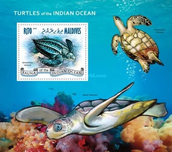 Malediven Maldive 2013 MNH Satz Schildkröten Fauna Turtles of the Indian Ocean