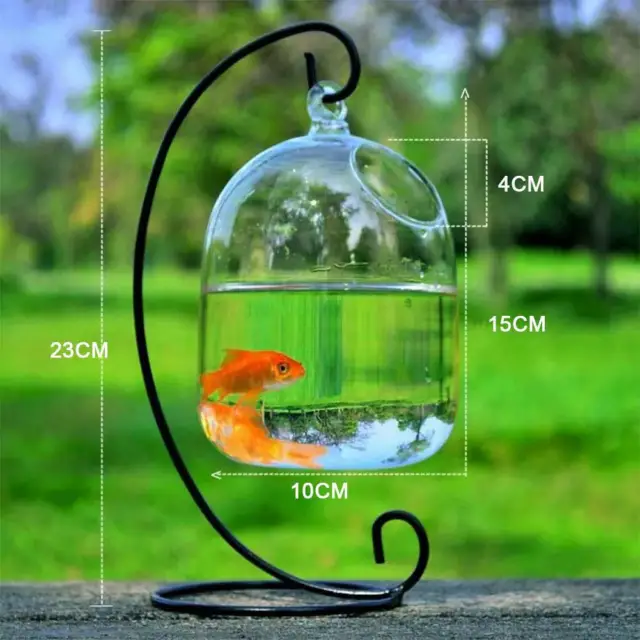 Hanging Transparent Glass Aquarium Fish Bowl Fish Tank With Holder 2