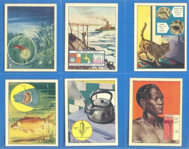 How,What And Why.set Of 25 Cards Issued By Trex Club (J.bibby) In 1955