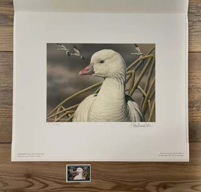 RW73 2006 - Federal Duck Stamp Print **SHERRIE RUSSELL MELINE** with Stamp!