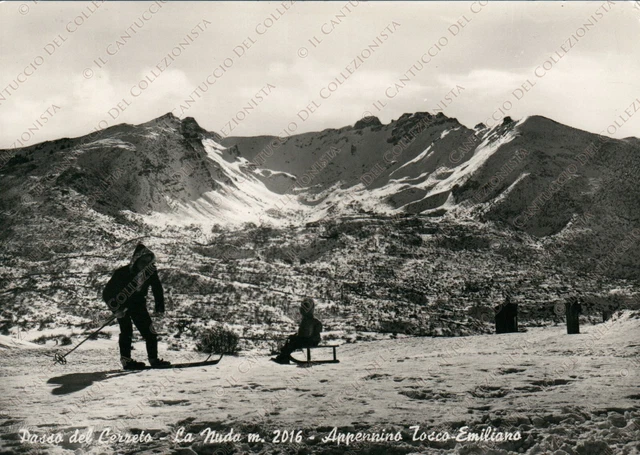 1954 PASSO DEL CERRETO La Nuda Appennino Tosco Emiliano Massa Carrara Cartolina
