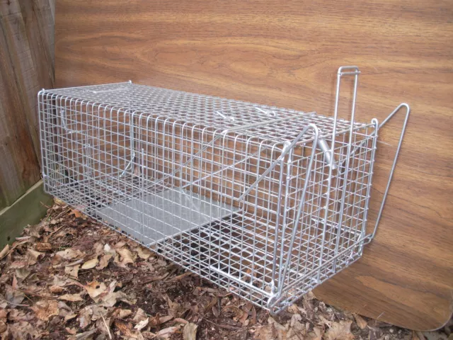 https://www.picclickimg.com/E7YAAMXQobdQ8BJ9/Large-Aust-Made-Animal-Wire-Cage-Trap-Feral.webp