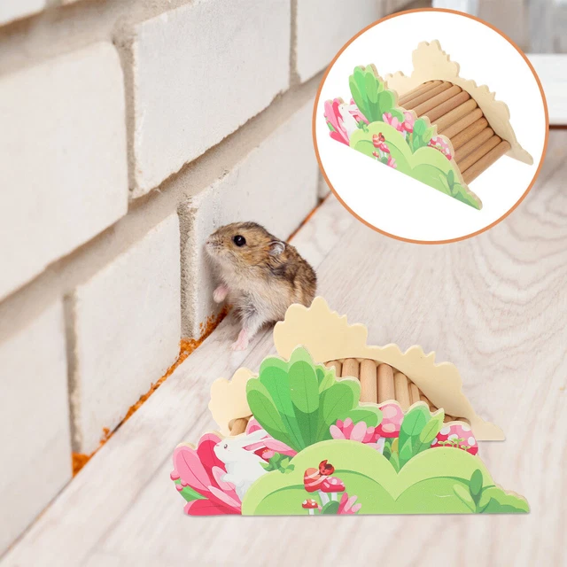 Little Critters Toys Parrot Swing Perch Hamster House Small Animals