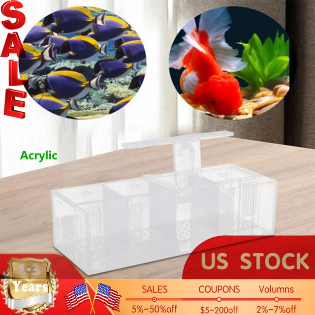 LED Light Aquarium Acrylic 4 Grids Betta Fish Tank Isolation Box with Pump US