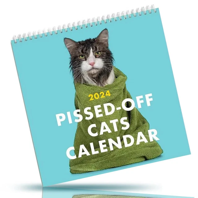 2025 PISSEDOFF CATS Calendar Wall 12Month Planner Joke Christmas