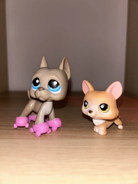 LOT DE 5 Petshops lps 1chien 🐶 danois 4 chats 🐱 européen EUR 35,90 - FR