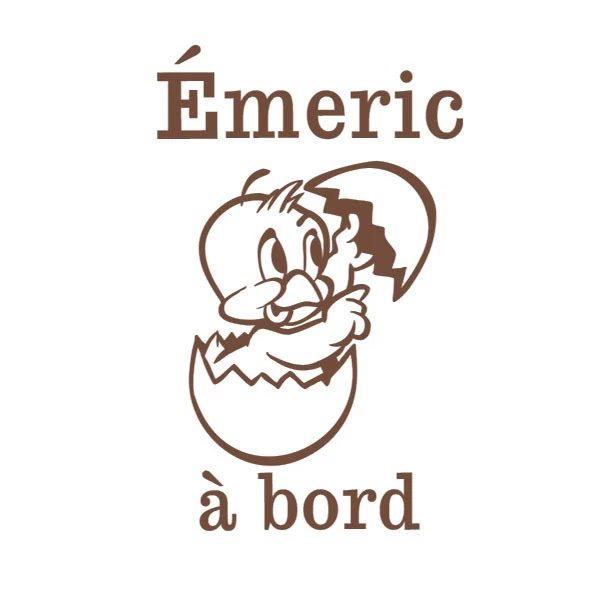 Sticker Voiture "Bébé à Bord" Modèle Petit Poney étoiles - Personnalisable Avec Prénom - Neuf