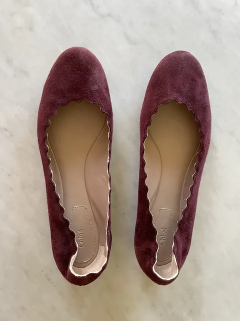 CHLOE $495 Maroon Suede Scallop Edge Ballet Flats 39