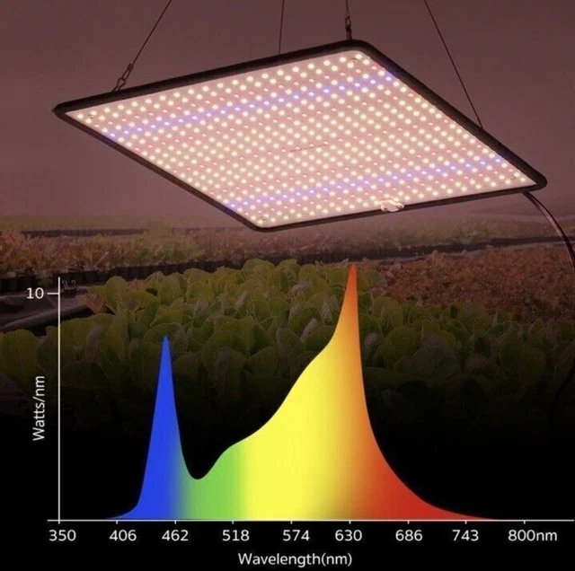 GEWÄCHSHAUS LAMPE CANNABIS Aufzucht Licht 230 V 1200 Watt Pflanzenlampe