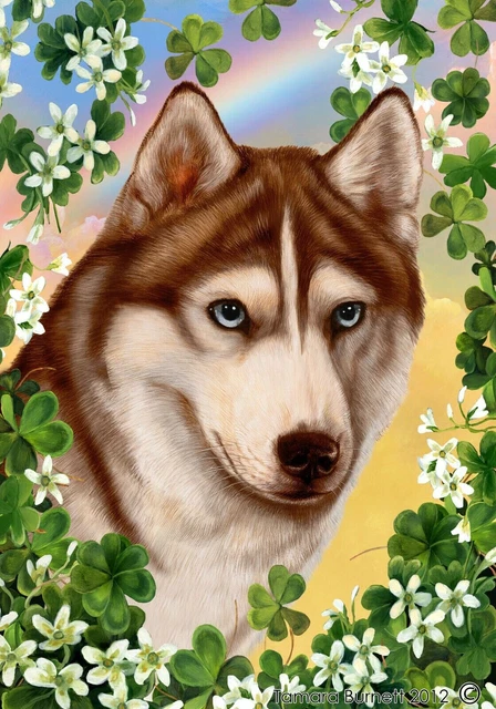 Clover Garden Flag - Blue-Eyed Red and White Siberian Husky 314391