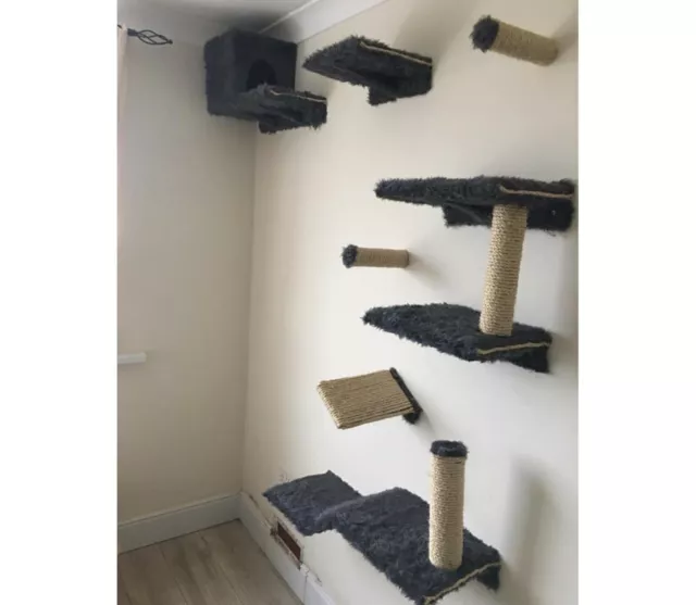 Furry Cat wall shelves set of 11 (S1)