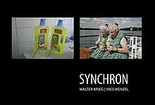 Synchron von Krieg, Walter | Buch | Zustand gut