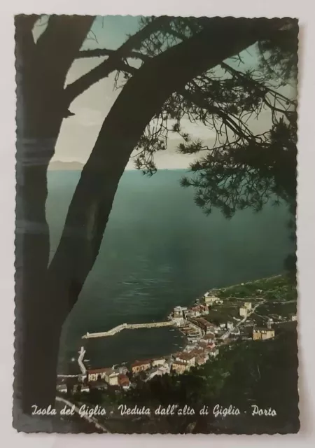 ISOLA DEL GIGLIO ( GROSSETO) Veduta Dall 'Alto DI GIGLIO- Porto ,  G Anni 50 F.g