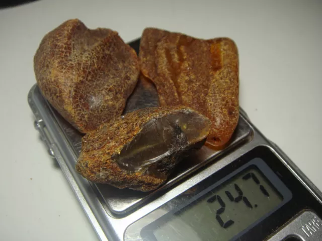 AMBER / raw baltic stones bernstein natural bursztyn baltycki genuine 琥珀 (e653