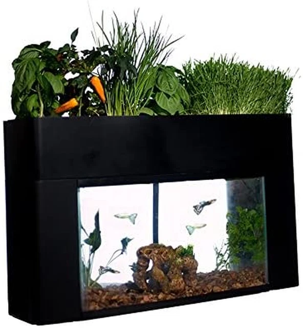 Aquasprouts Garden, Self-Sustaining Desktop Aquarium Aquaponics Ecosystem Kit, F