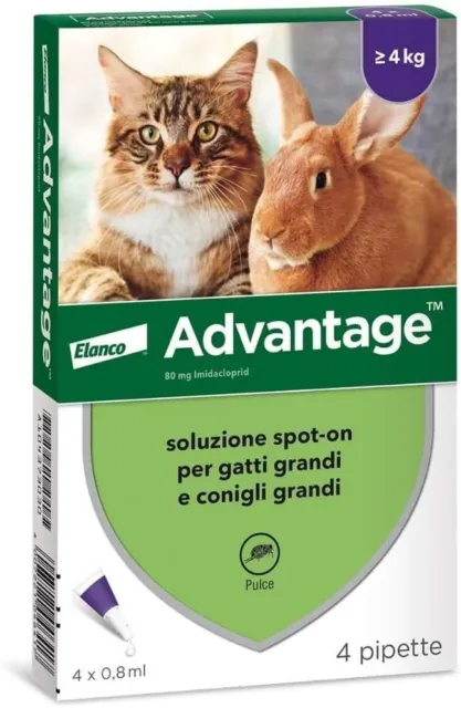 Advantage spot-on trattamento antipulci per gatti grandi e conigli 4 pipette