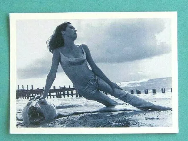 The Avengers Return. Series 3 Card # 213. Cornerstone 1995 Card. Seaside Woman