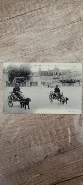 Rare Carte Postale Ancienne Rare Voiture A Chiens A Briare
