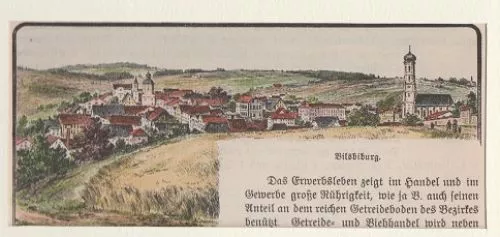 Orig. kolorierter Holzstich - Bayern - Vilsbiburg