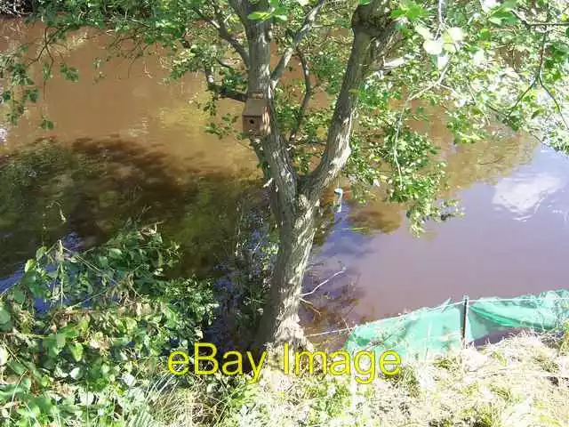 Photo 6x4 Bird Box after the Oughtibridge Flood in June 2007 By comparing c2007