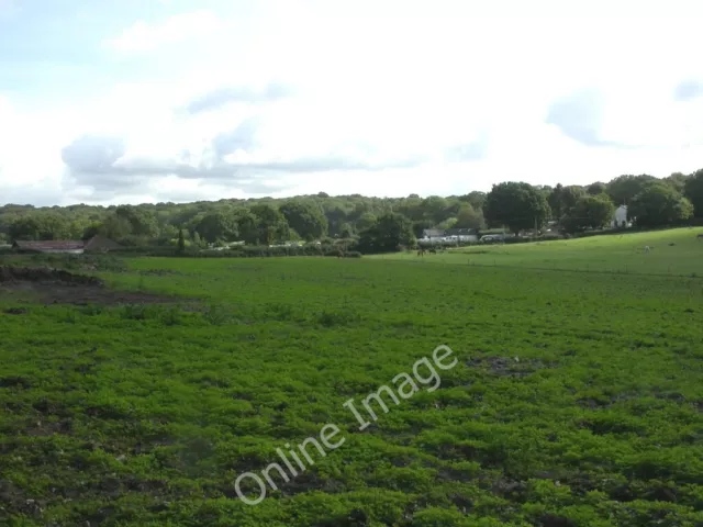 Photo 6x4 Linwood, grazing land Linwood/SU1809 To the left, a horse on T c2010