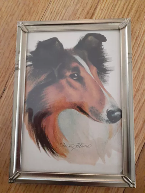 Vintage Sharon Blaine 5” X 7” Collie Dog Signed Sharon Blaine