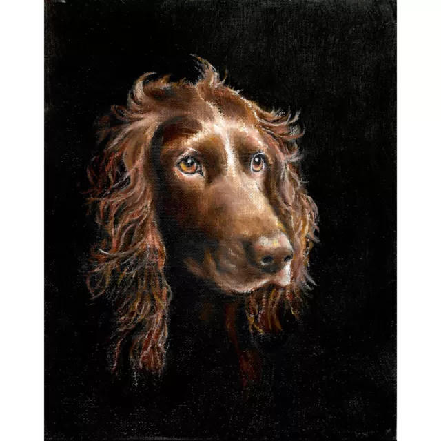 ✿ ORIGINAL Oil Dog Portrait Painting BOYKIN SPANIEL Artist Signed Art Classic