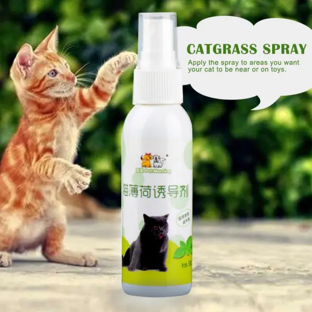 Herbal Catnip Spray 50ml Cat Toys and Scratch Posts Natural Nip Organic2024 N1K1