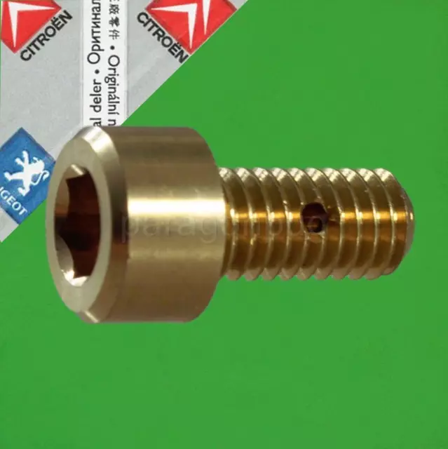 NEW GENUINE Peugeot Citroen Brass Bleed Screw 130629