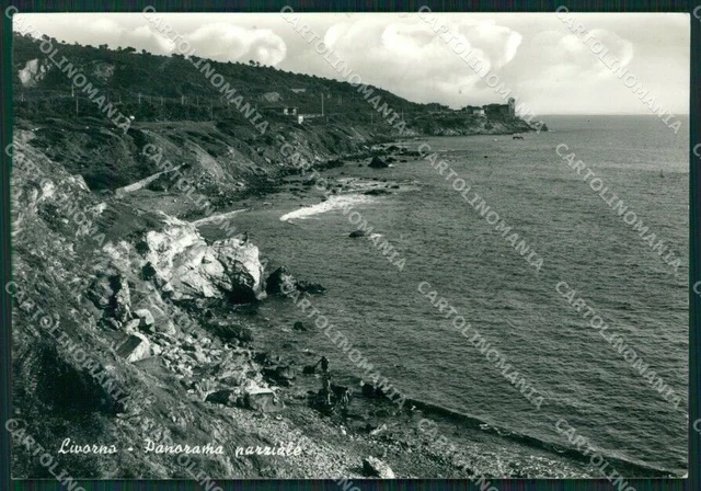 Livorno Città Foto FG cartolina KV7962