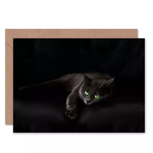 Black Cat Yellow Eyes Lazy Sleepy Birthday Blank Greeting Card With Envelope